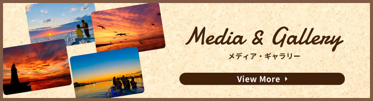 Media & Gallery はこちら